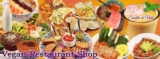 Bek' Semilla de Vida