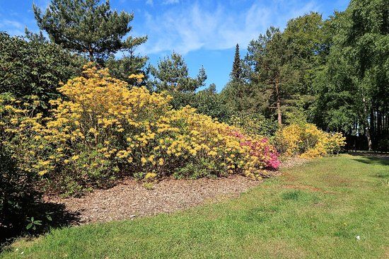 Parque de los Rhododendron de Graal-Müritz