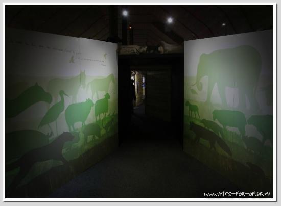 Muséum d'Histoire Naturelle