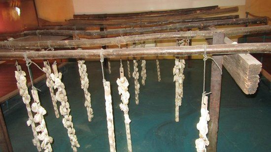 Le Musee de L'etang de Thau