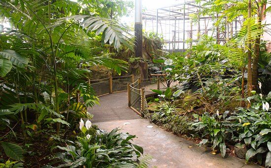 Parque zoológico de Montpellier