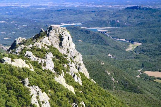 Foret Communale de Ceret