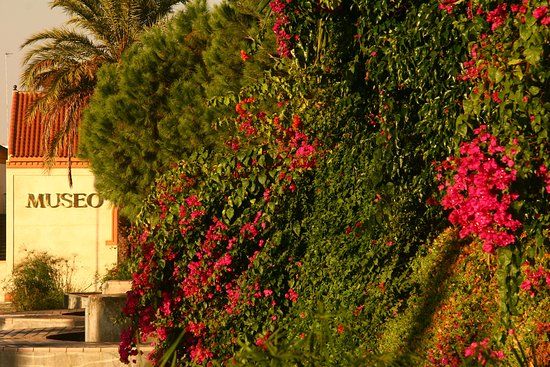 Museo Alcalá de Guadaíra