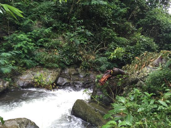 Colek Pamor Waterfalls