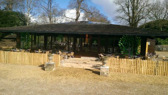 Bowood Treehouse Café