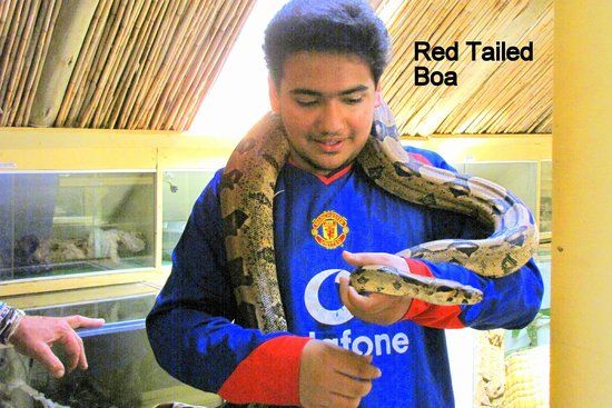 Dragon Rock Reptile and Nature Park