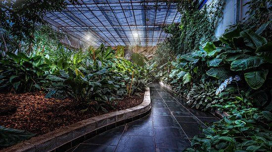 Tropical Garden Slovenia