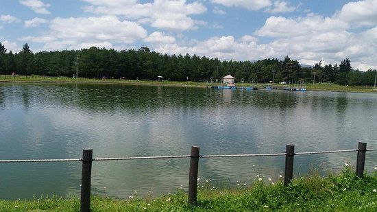 Parque Ambiental Bicentenario