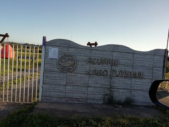 Acuario Lago Puyehue