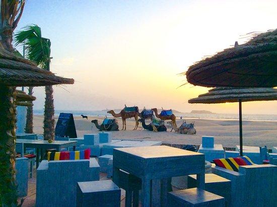 Les Planches Essaouira