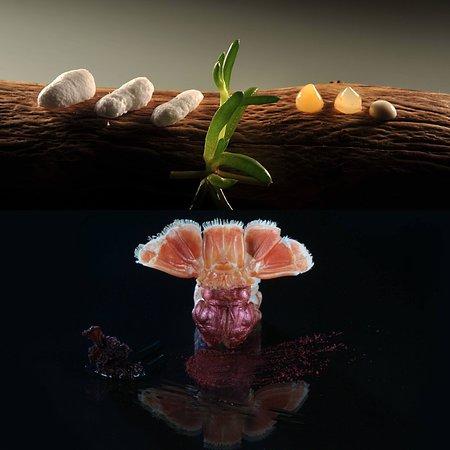 Restaurant Denis Martin