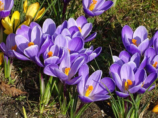 Noorderplantsoen Park