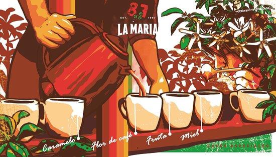 La Maria Cafes Especiales