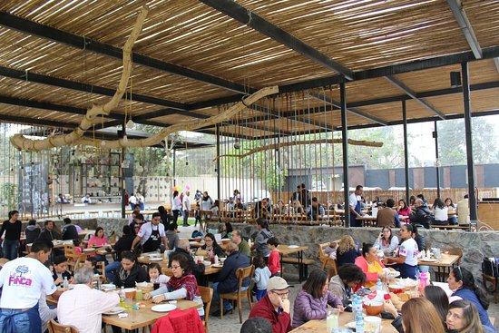 La Finca de San Pascual