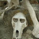 Pastelaria Mirandesa