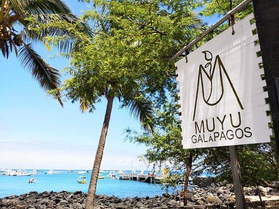 Muyu Galapagos