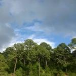 Okuma Sucursal San Isidro