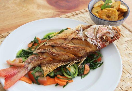 La Casa Del Pavo Real