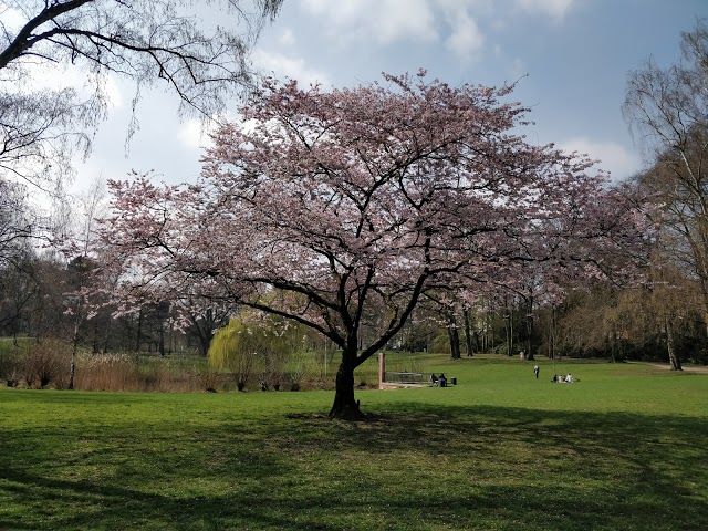 Parque de Eppendorfer