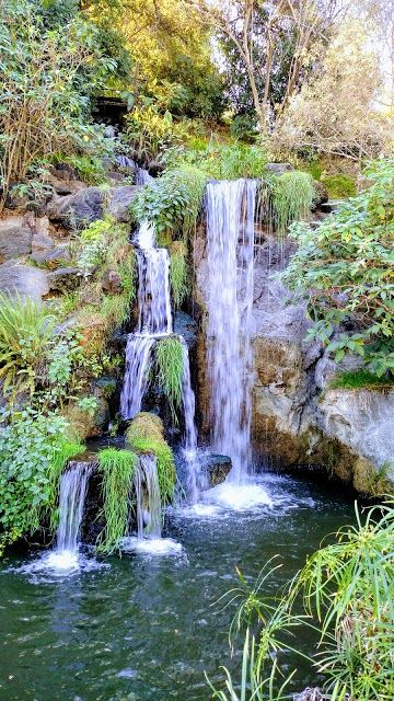 Arboreto y Jardín Botánico del Condado de Los Ángeles