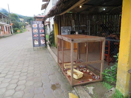 Don Cangrejo Restaurant