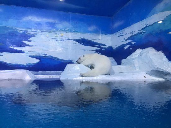 Tianjin Haichang Polar Ocean World