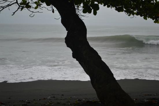 Refugio de Vida Silvestre Playa Hermosa-Punta Mala