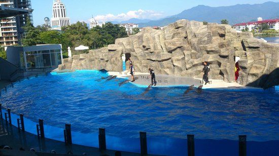 Batumi Dolphinarium