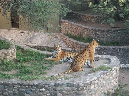 Zoológico de Córdoba