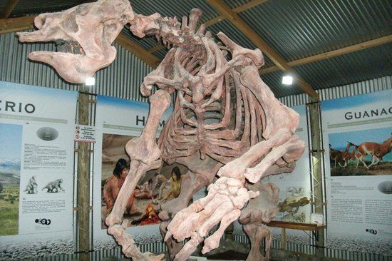 Centro de Interpretacion CALAFATE