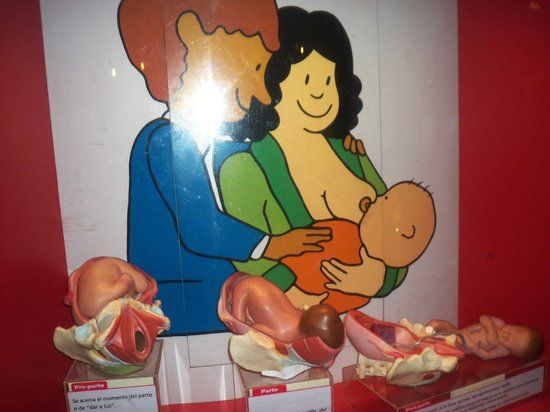 Museo de los Niños