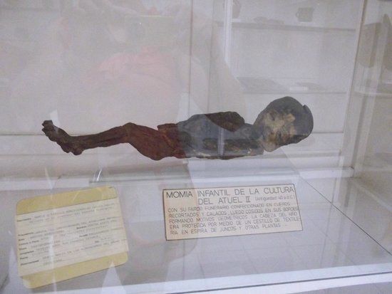 Museo De Historia Natural De San Rafael