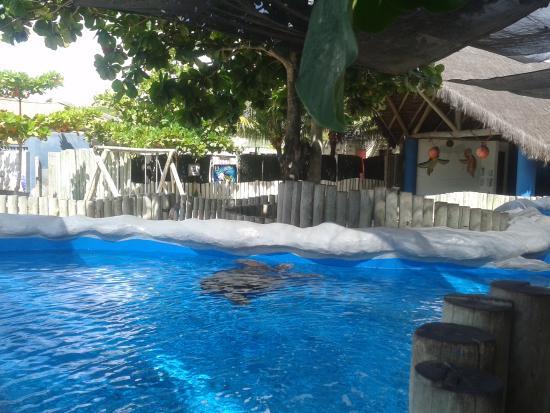 Oceanário de Aracaju