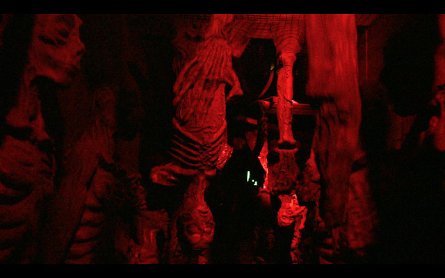 Dracula's Haunted House