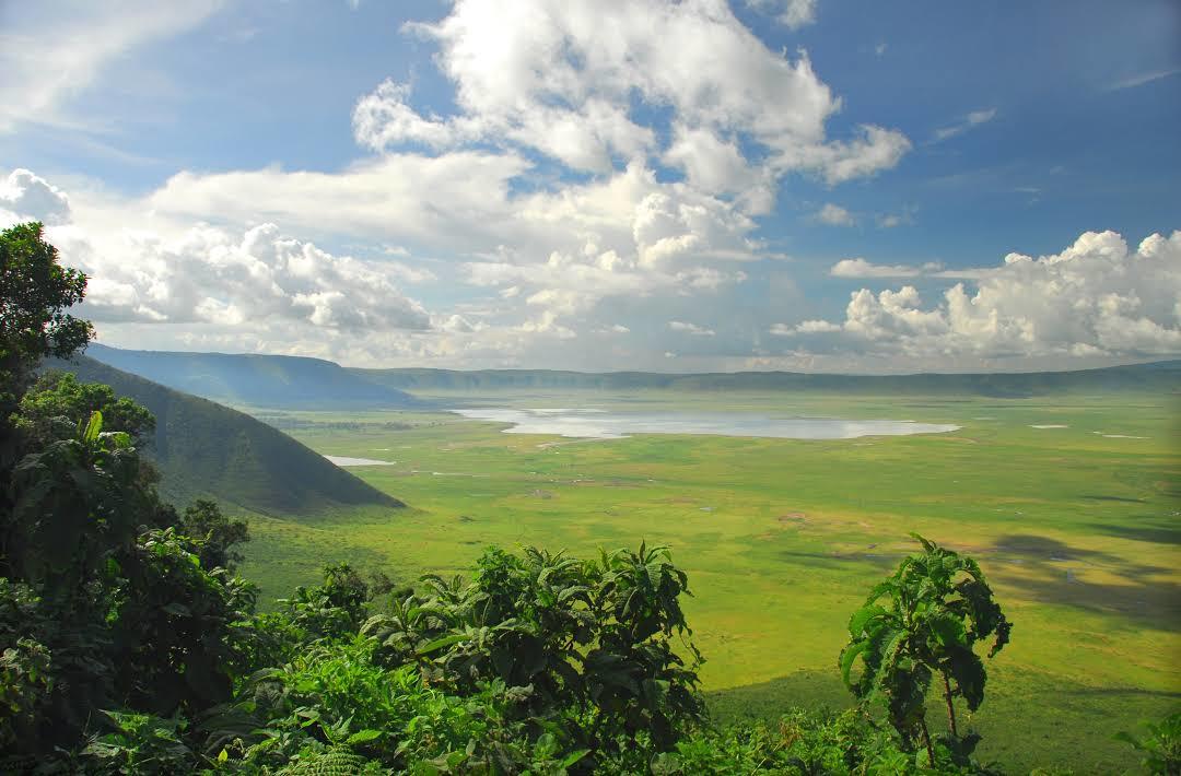 Zona de conservación de Ngorongoro