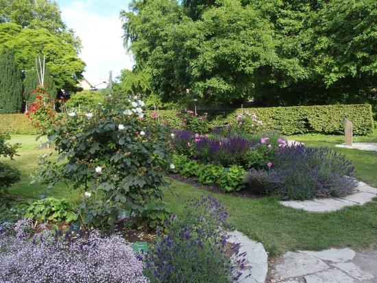 Botaniska Tradgarden