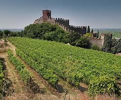 Guerrieri Rizzardi Winery