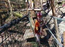 Parco Avventura Flying Frogs