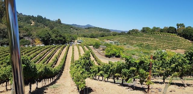 Benziger Family Winery