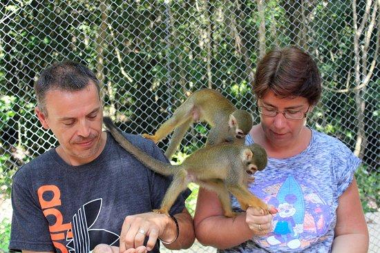 Akumal Monkey Sanctuary and Rescued Animals