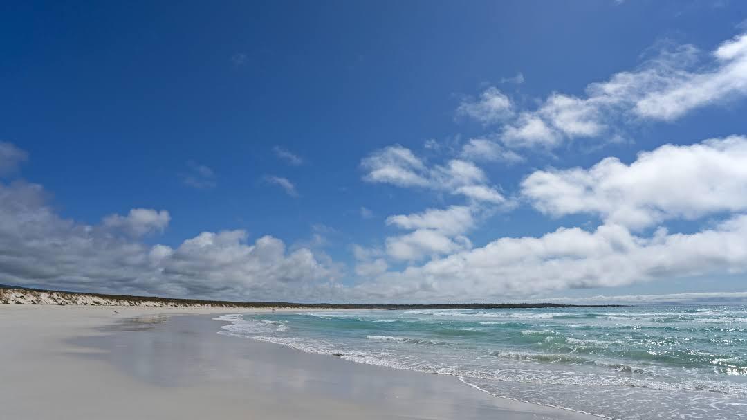 Bahía Tortuga
