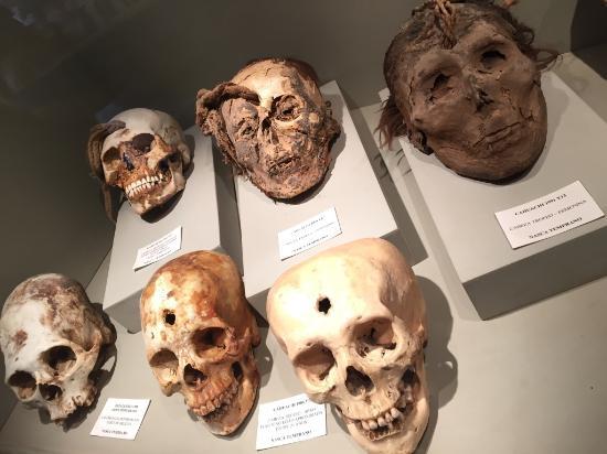 el Museo Didáctico Antonini