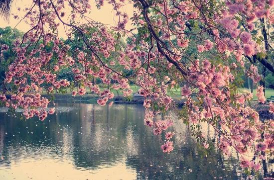 Parque Vajirabenjatas