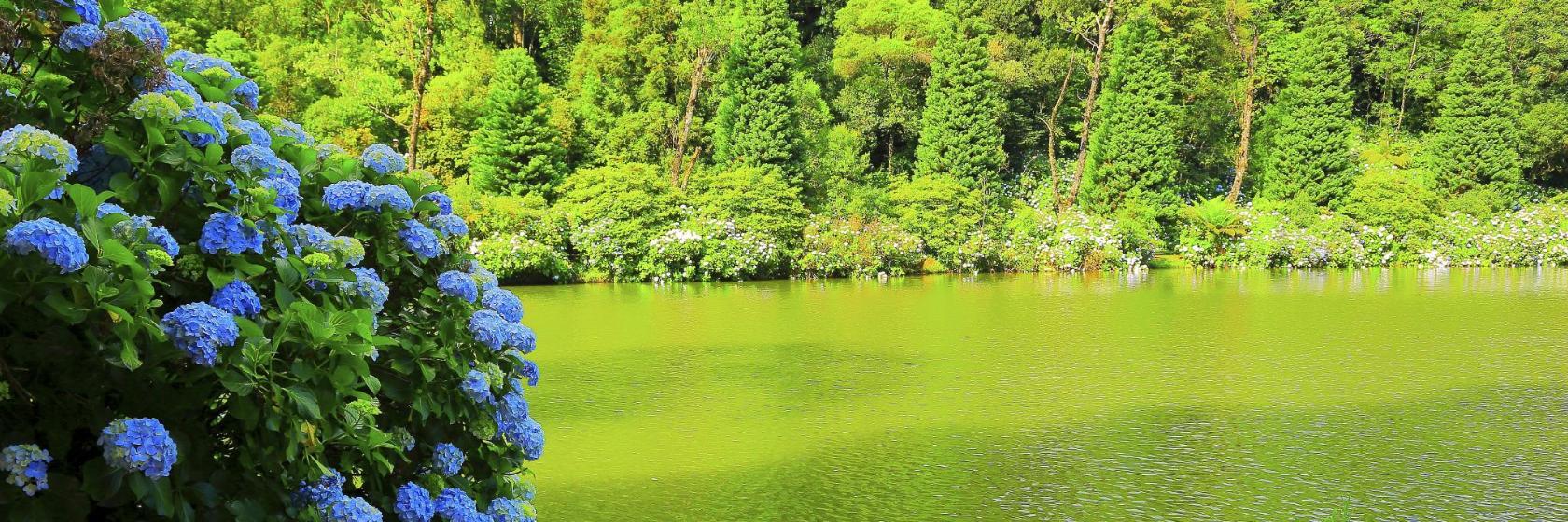 Parque del Lago Negro