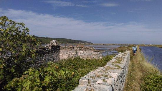 Parque Natural de las Salinas de Sicciole