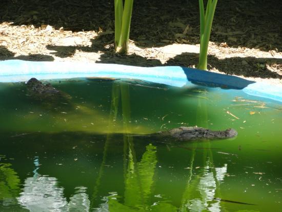 Zoológico de Salvador