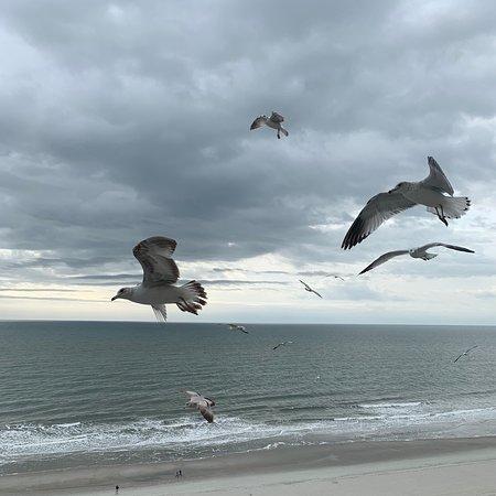 Admiral's Room Restaurant