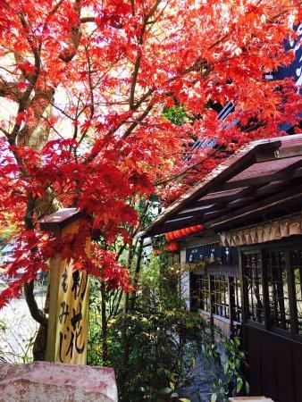 Hatsuhana Soba Honten