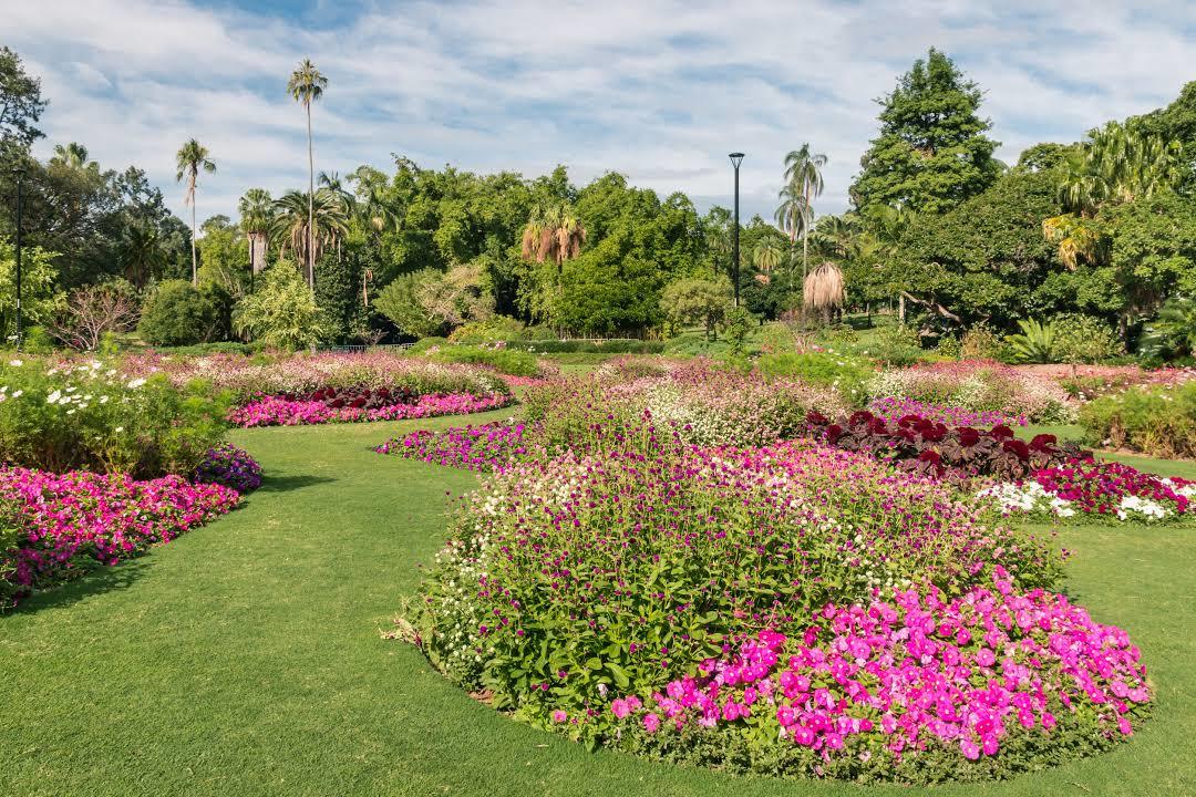 Jardín Botánico de la Ciudad de Brisbane