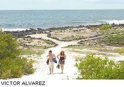 Playa de los Alemanes